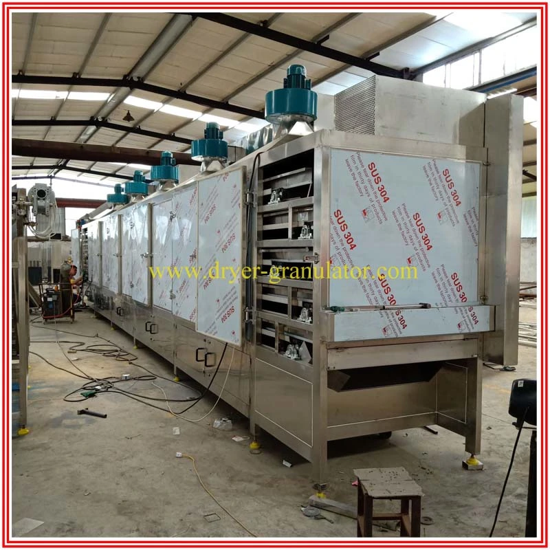 Steam Heating Single Layer Tunnel Dryer/ Belt Dryer / Muti Layer Belt Dryer/ Three Deck Belt Dryer/ Vegetable Belt Dryer/ Fruit Belt Dryer/ Conveyor Dryer